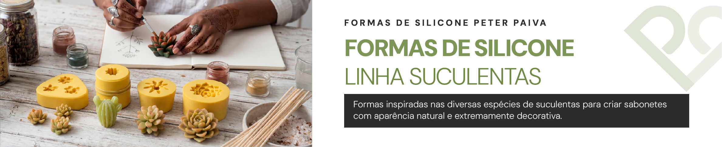 LINHA SUCULENTAS