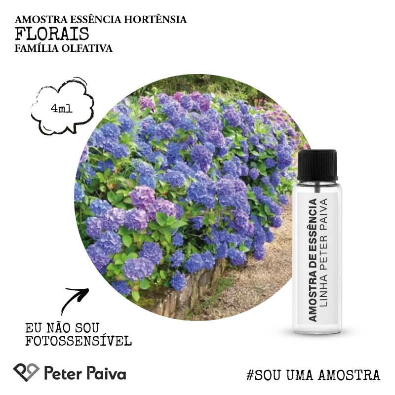 Pierre Henry / MIX 01.0〜04.0 BOXセット 計17枚 Amostra Essência Hortênsia | Armazém Peter Paiva
