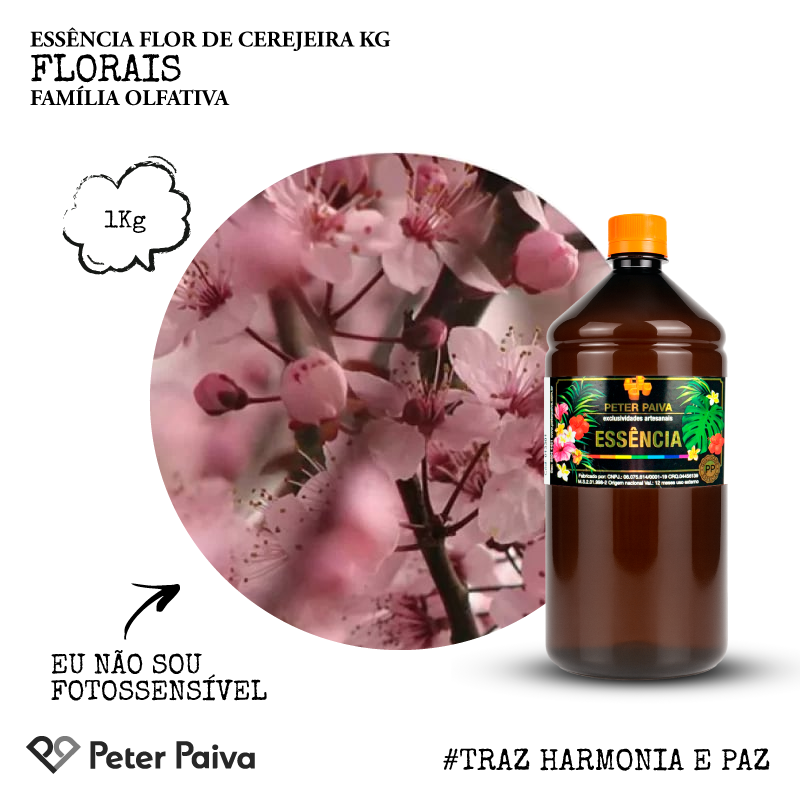 Caixa Base Glicerinada Branca 6,5kg |Peter Paiva